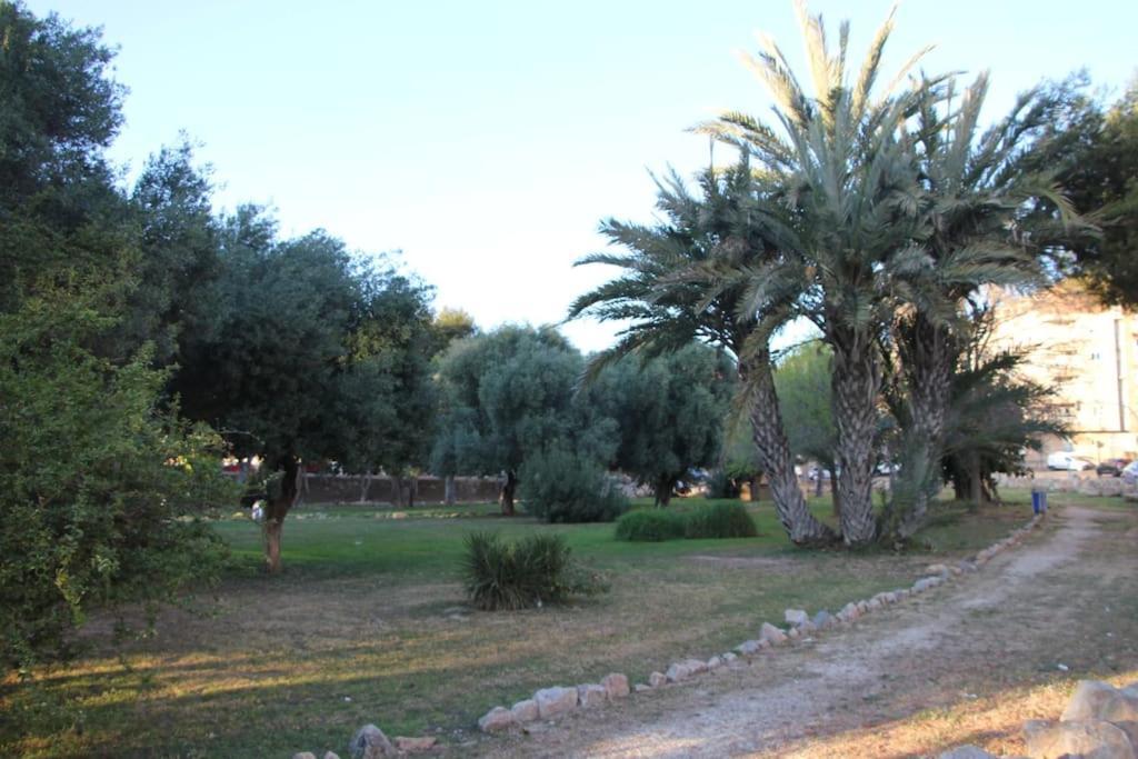 Appartamento Tesoro Del Eden Torrevieja Esterno foto